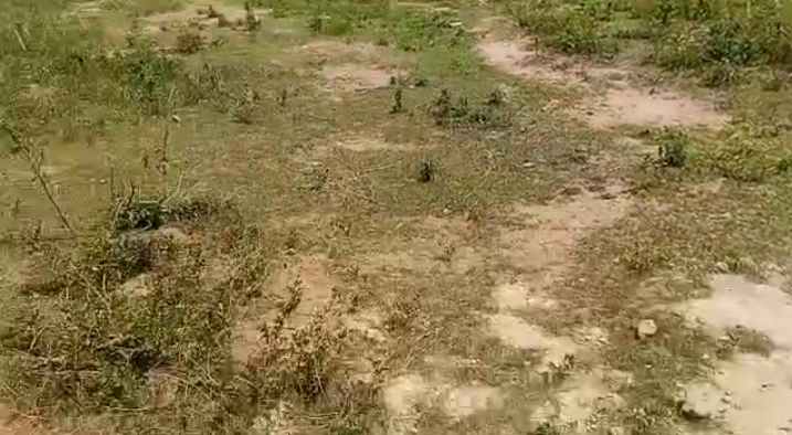 Land for Sale in Lugbe, FCT cover picture