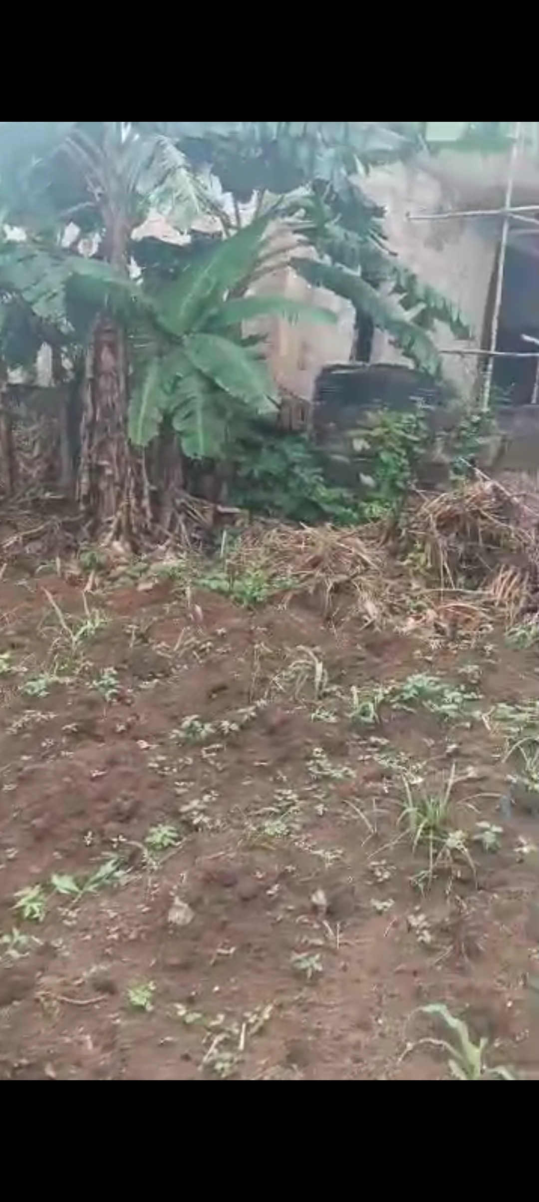 Land for Sale in New Heaven Estate, Anambra - Image 1