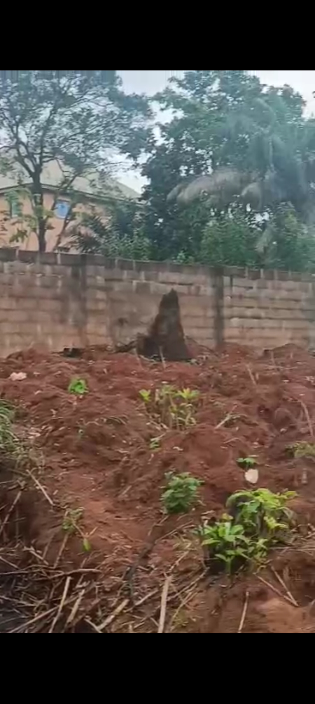 Land for Sale in Okpuno, Anambra - Image 2