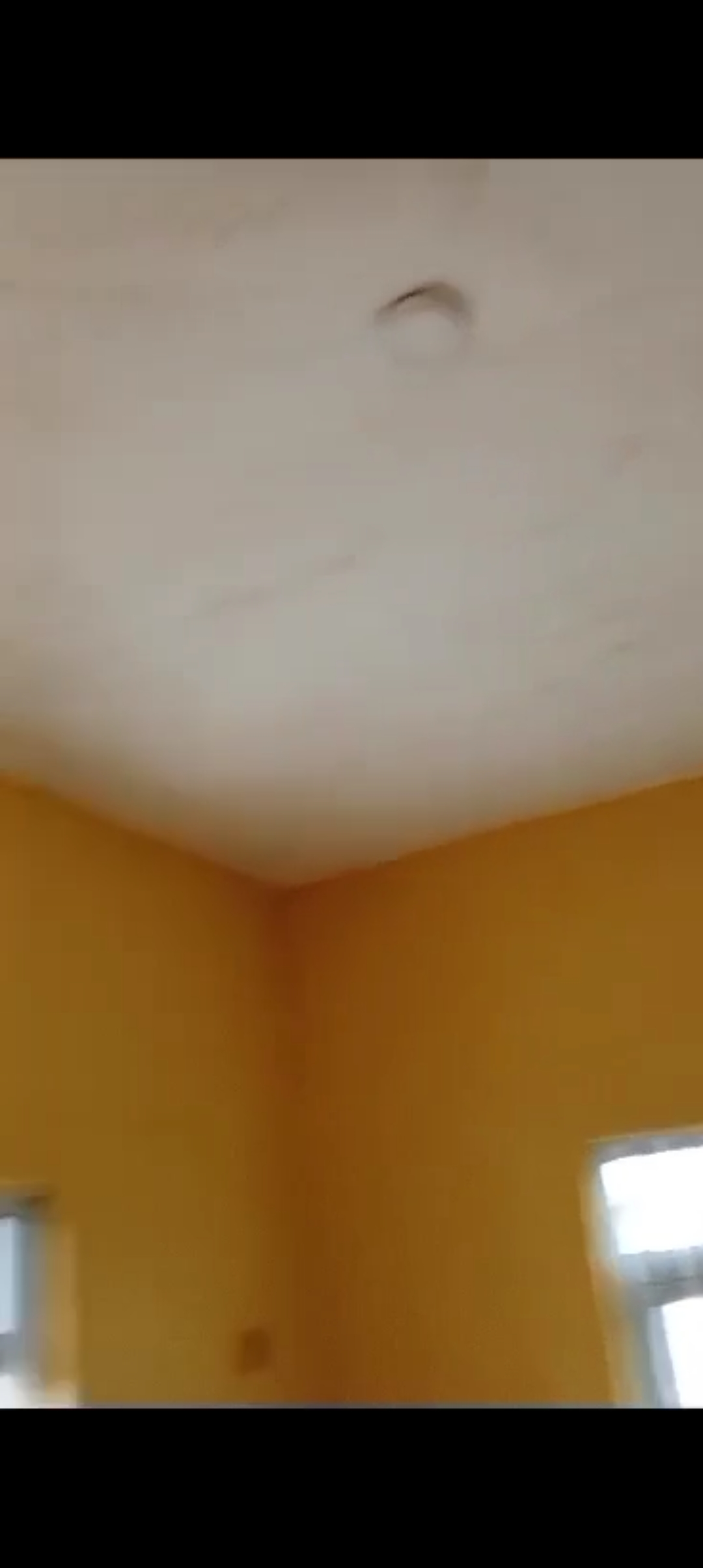 1 Bedroom Flat for Rent in Isuaniocha, Adamawa cover picture