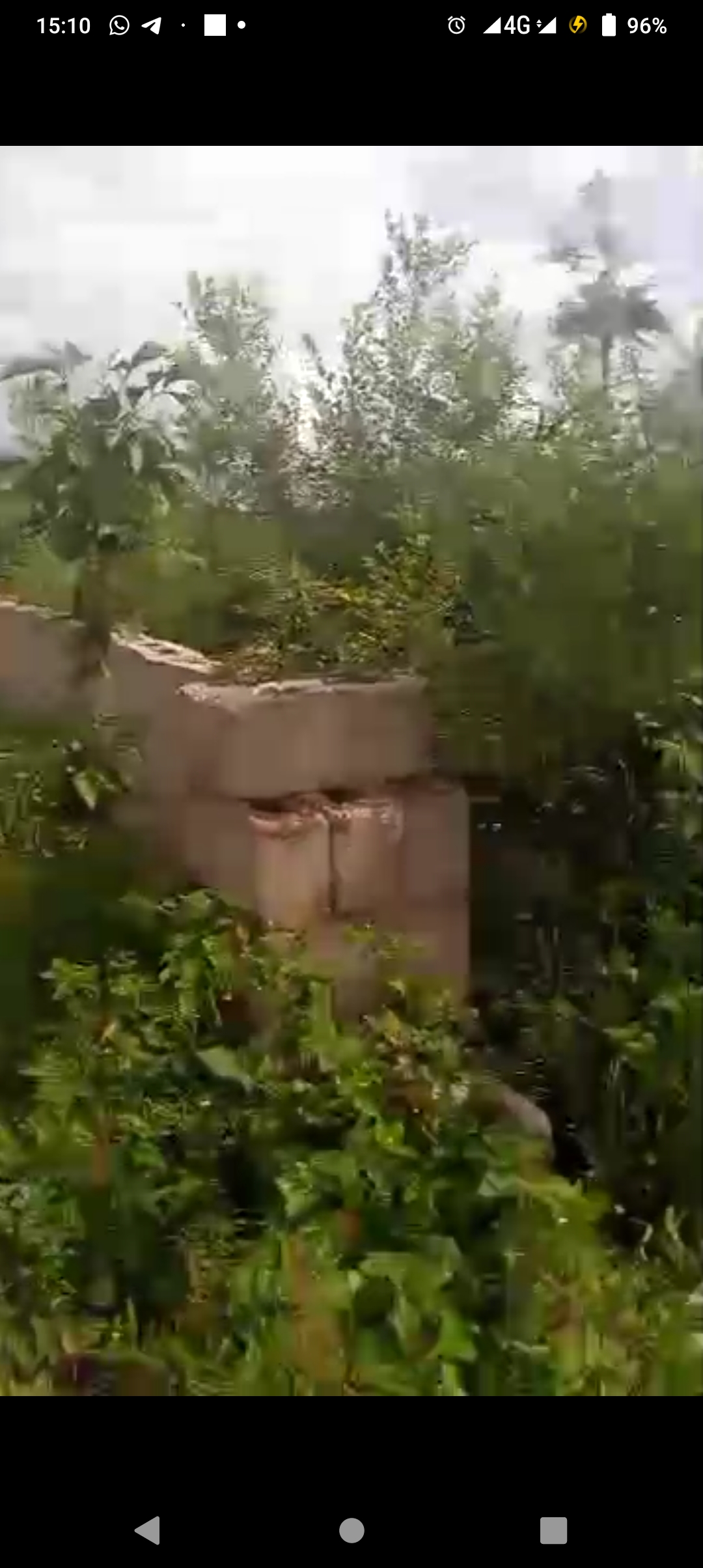 Land for Sale in Issele Azagba, Delta cover picture