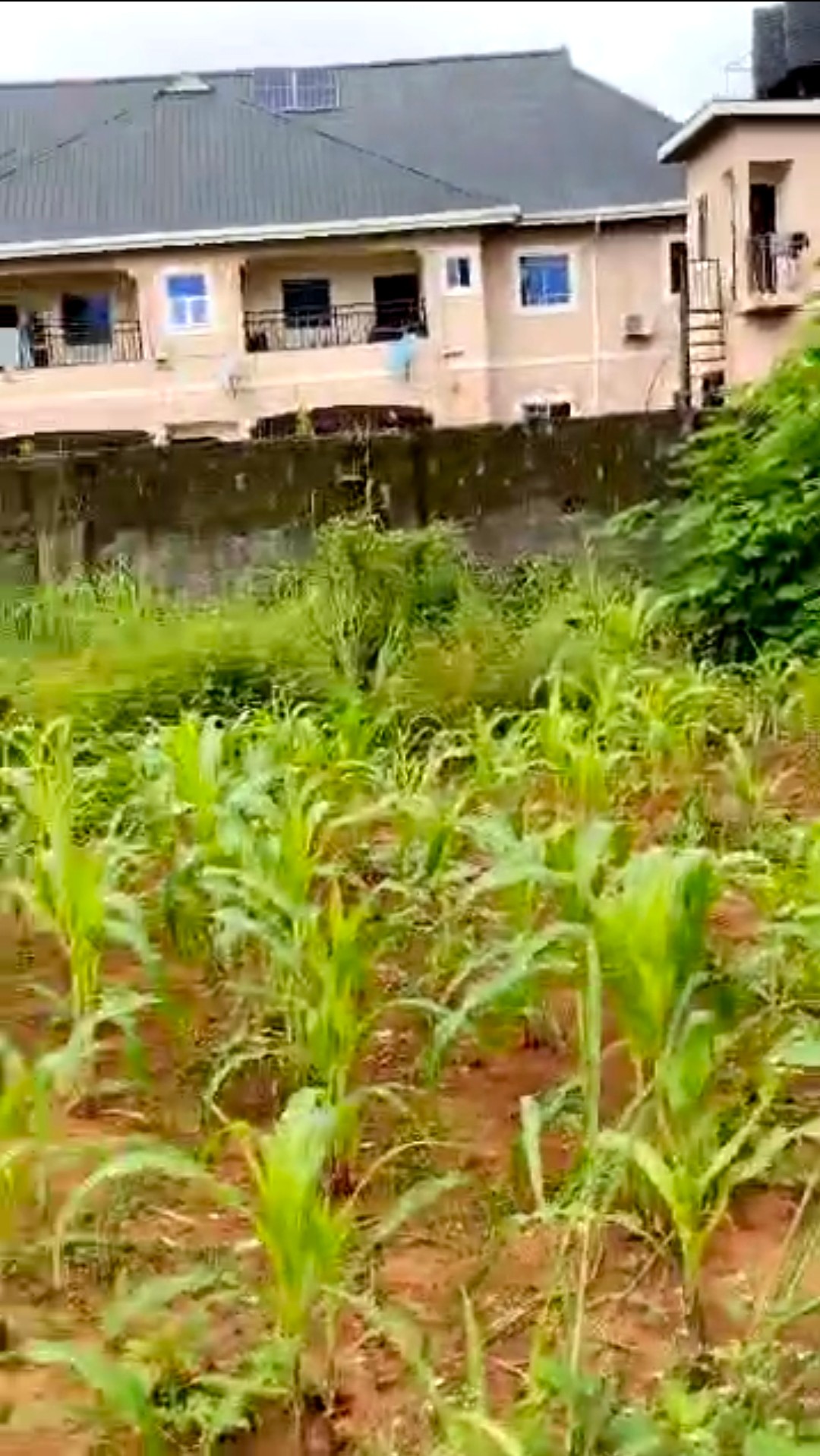 Land for Sale in Airport View Okpanam, Delta cover picture