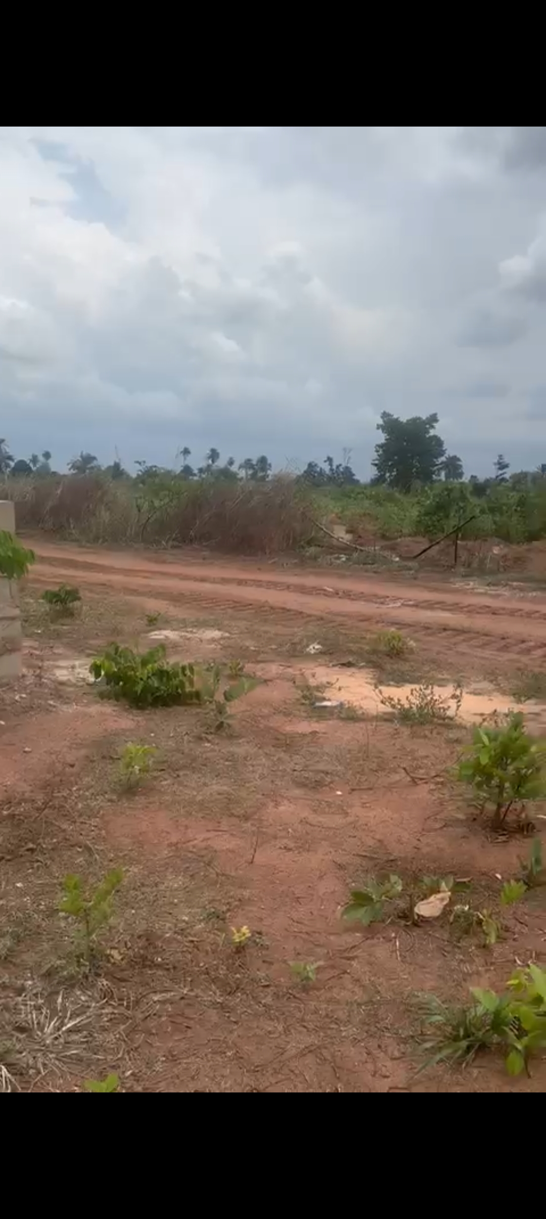 Land for Sale in Warri, Delta cover picture