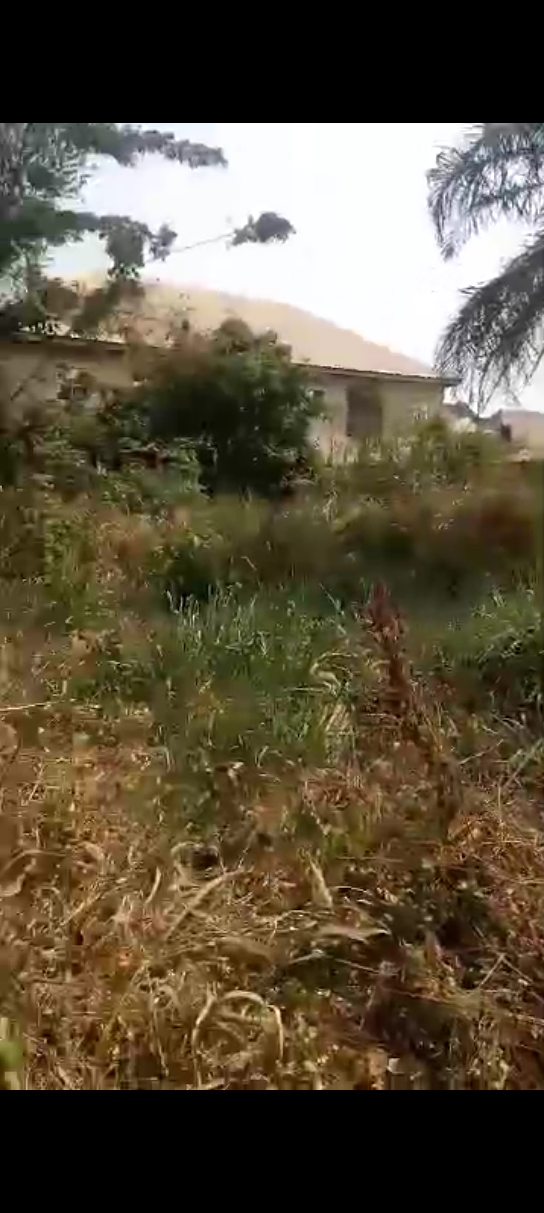 Land for Sale in Delta Park hotel, Delta cover picture