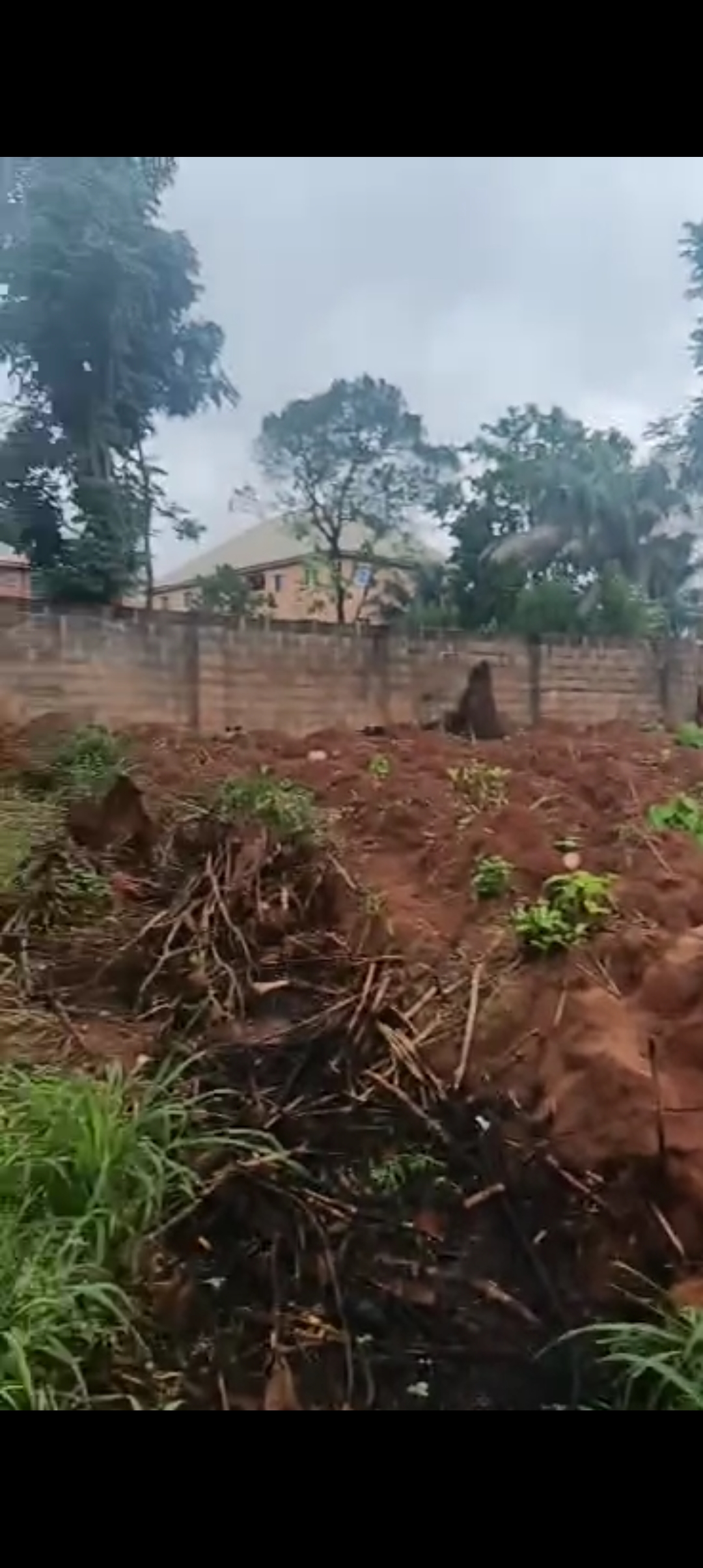 Land for Sale in Okpuno, Anambra cover picture