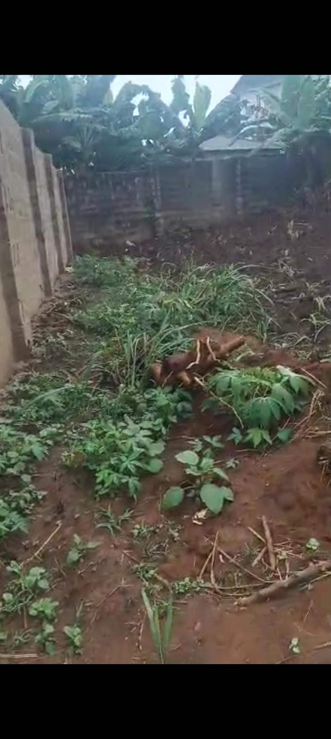 Land for Sale in New Heaven Estate, Anambra