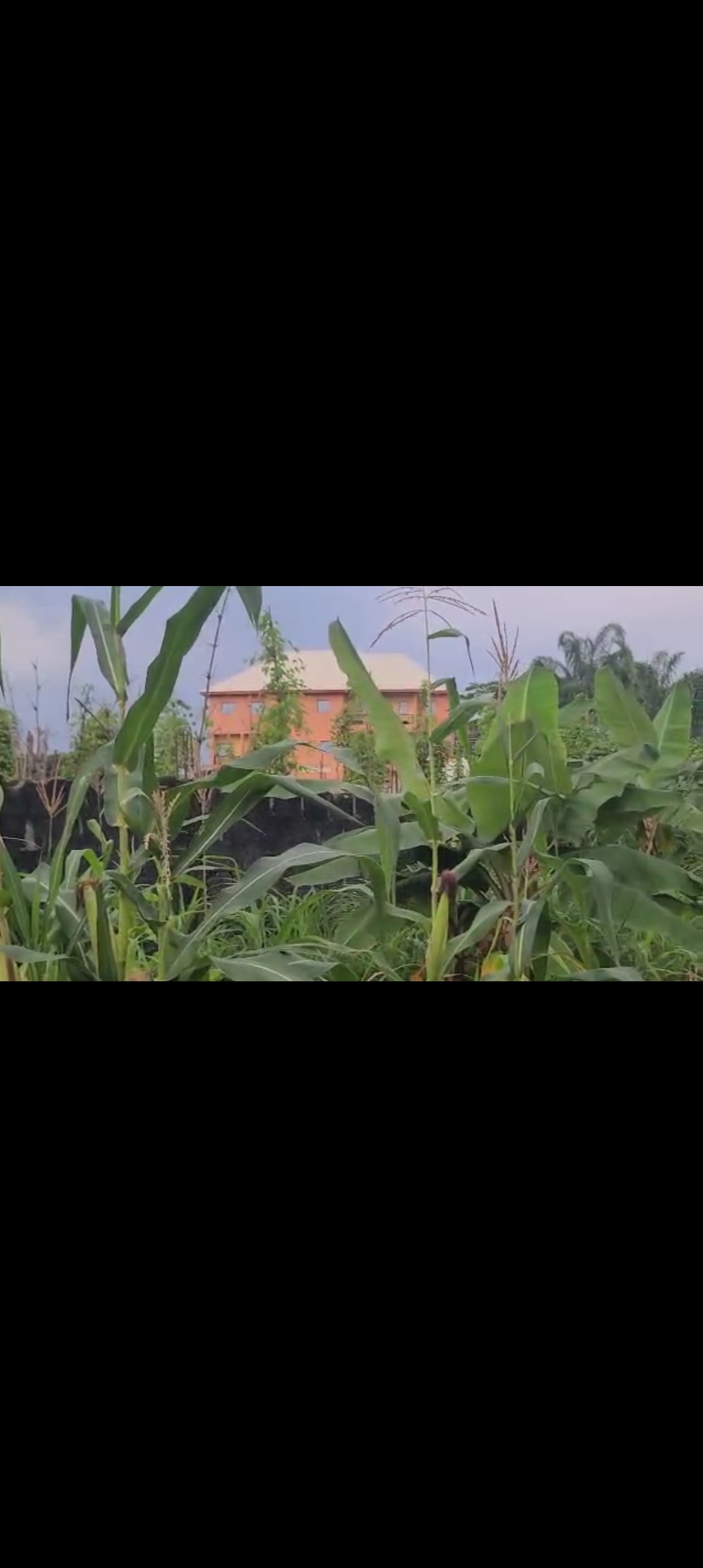 Land for Sale in Yahoo Junction opp Unizik gate, Anambra cover picture