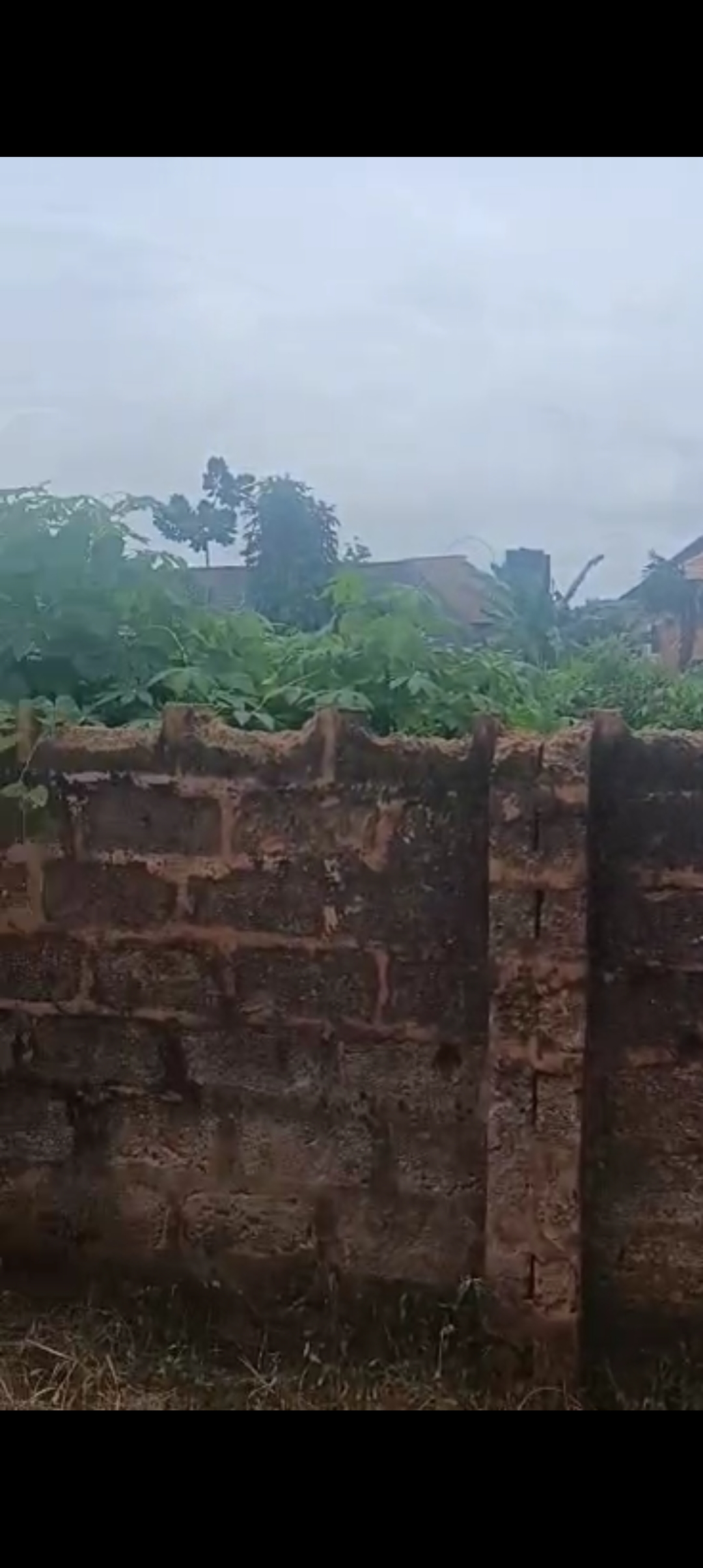 Land for Sale in Isuaniocha, Anambra cover picture