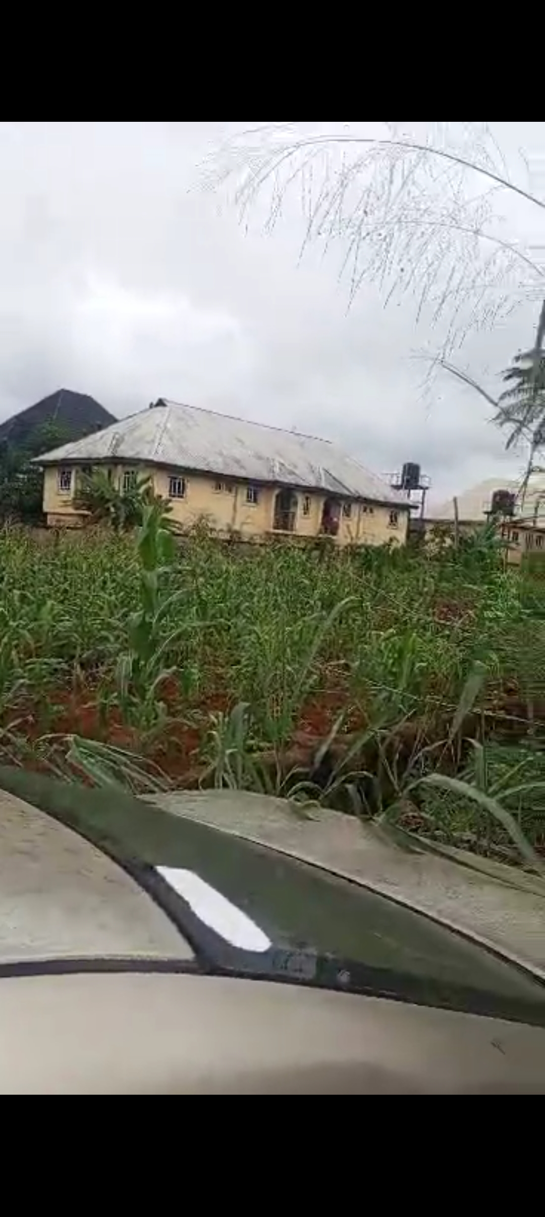 Land for Sale in Isuaniocha, Anambra cover picture