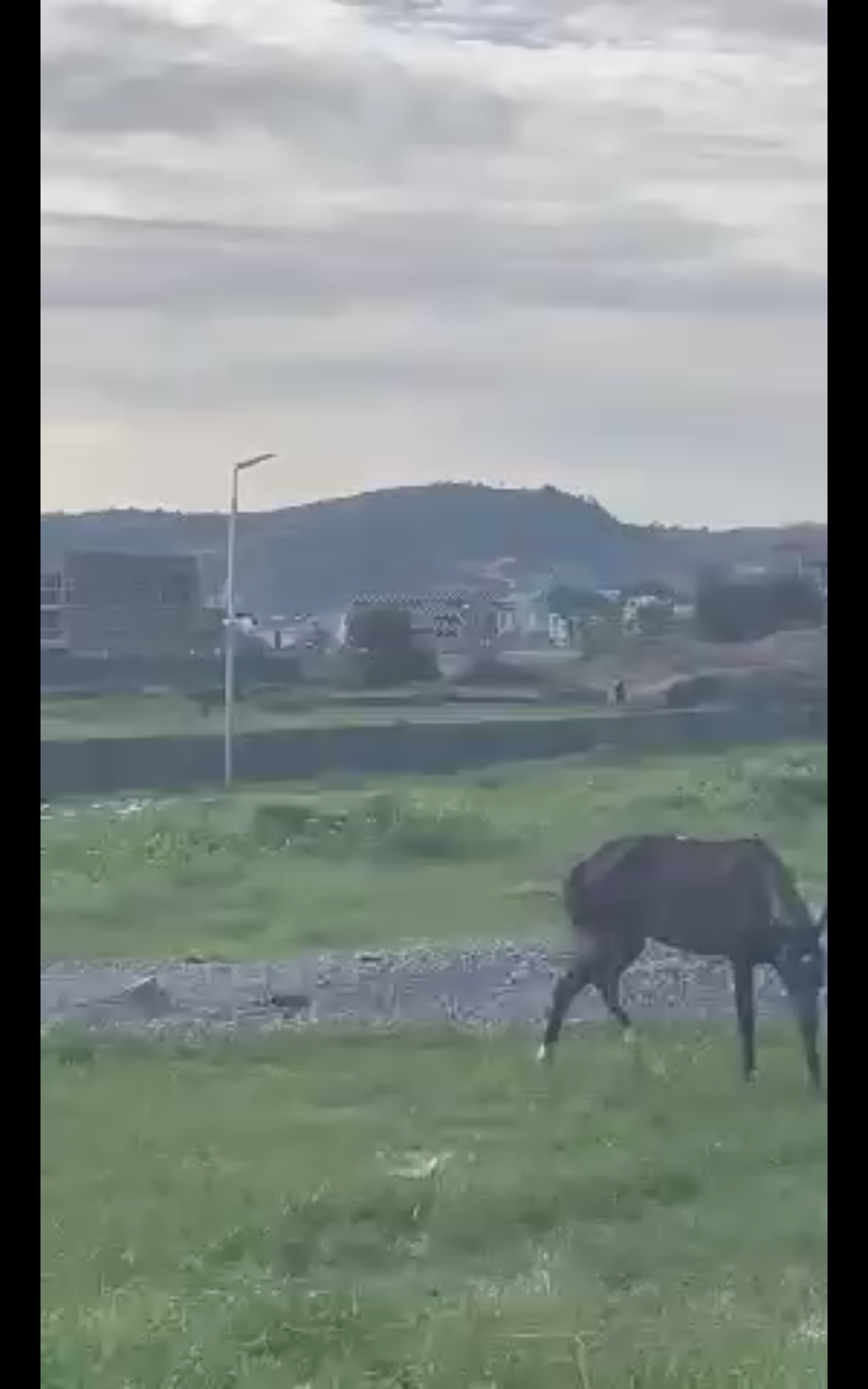 Land for Sale in Jahi Abuja, FCT cover picture