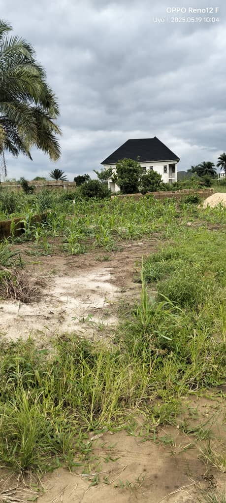 Land for Sale in Osongama Housing estate, Akwa Ibom cover picture