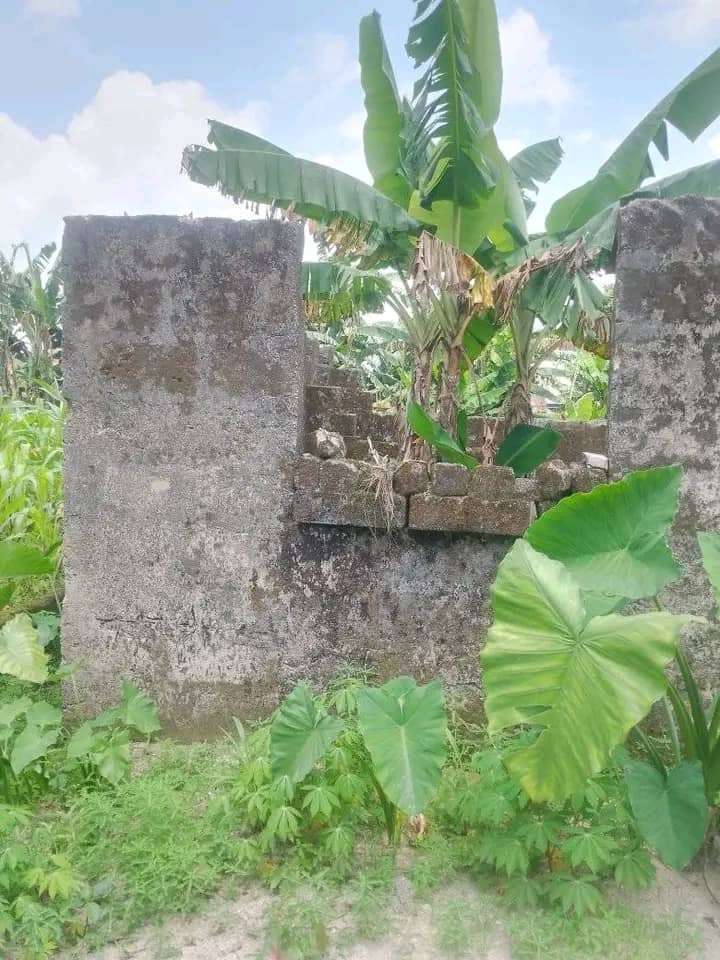 Land for Sale in Abak road ,by University of Uyo teaching hospital, Akwa Ibom cover picture