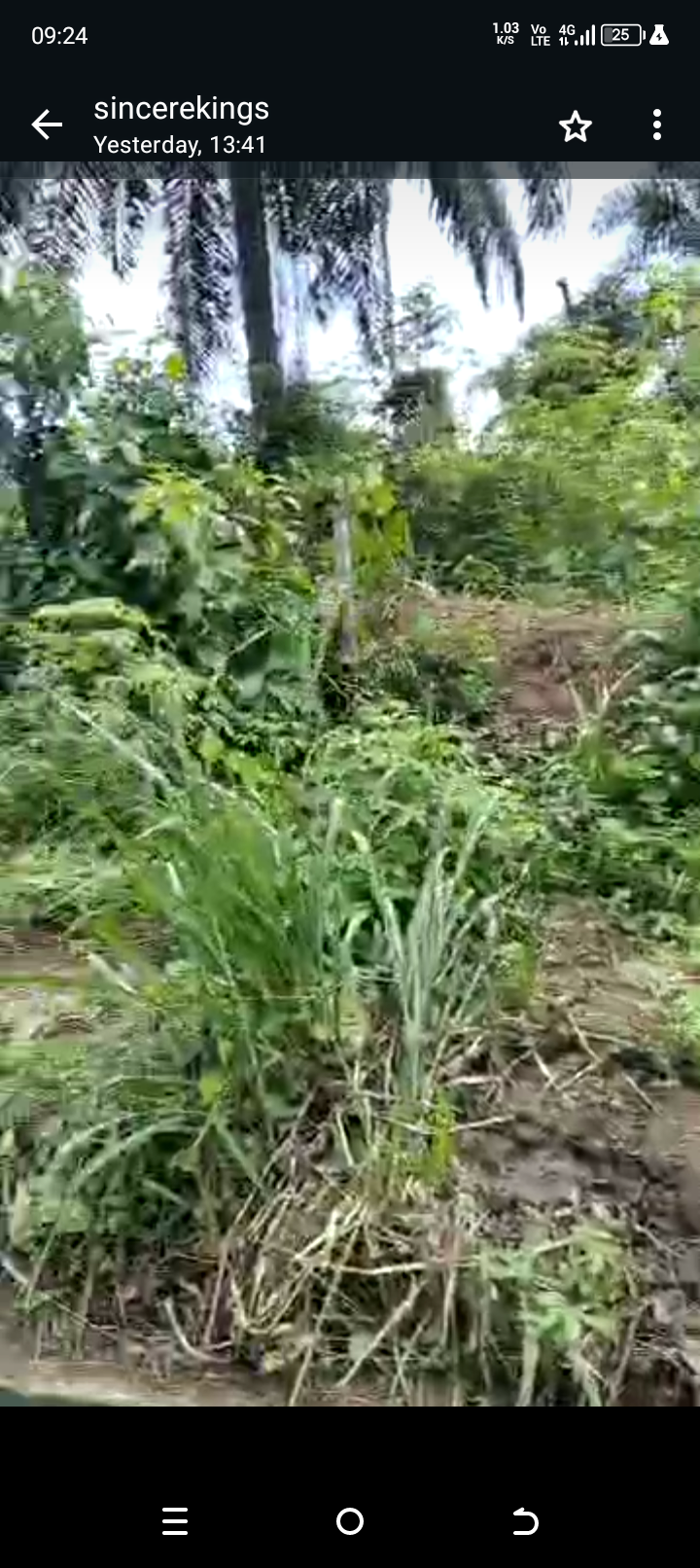 Land for Sale in Ediene ikot obio,off idoro road by pepsi, Akwa Ibom cover picture