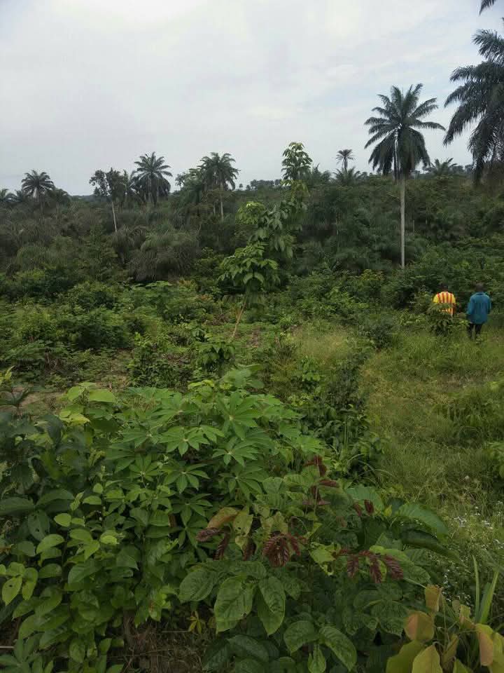 Land for Sale in Mbiabong itam ,off Calabar itu, Akwa Ibom cover picture