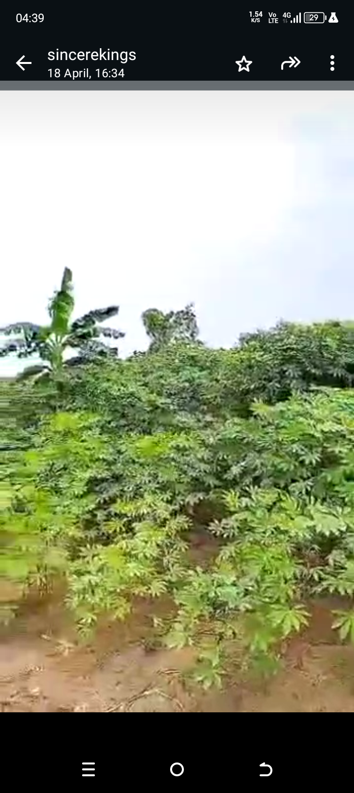 Land for Sale in Along Okobo /oron road ,off Airport road, Akwa Ibom cover picture