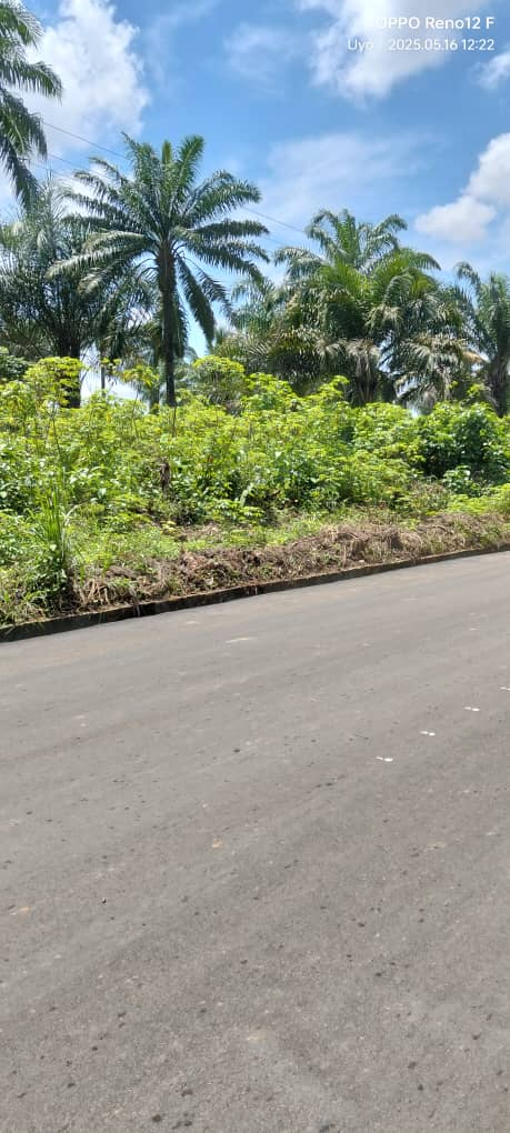 Land for Sale in Ediene ikot obio,off idoro road by pepsi, Akwa Ibom cover picture