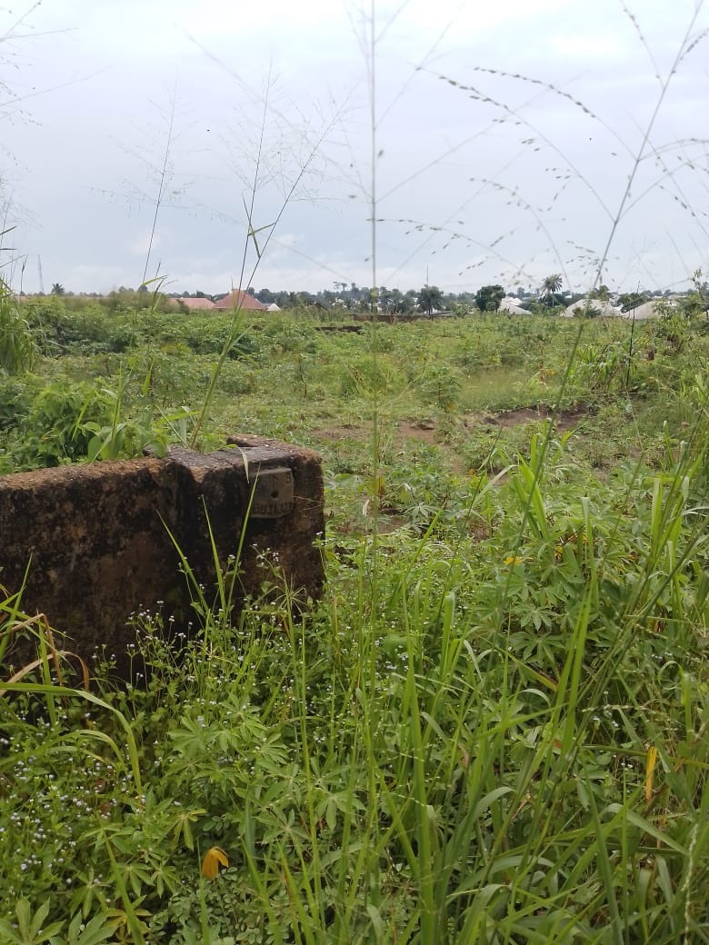Land for Sale in Martha vineyard residential estate,off idoro road, Akwa Ibom cover picture