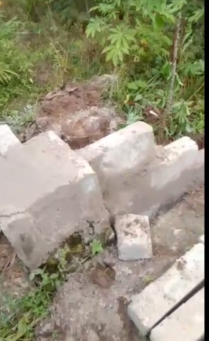 Land for Sale in Udu Warri Delta state, Delta cover picture