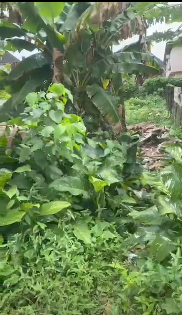 Land for Sale in St Mary ijaw quarters Bendel estate, Delta cover picture