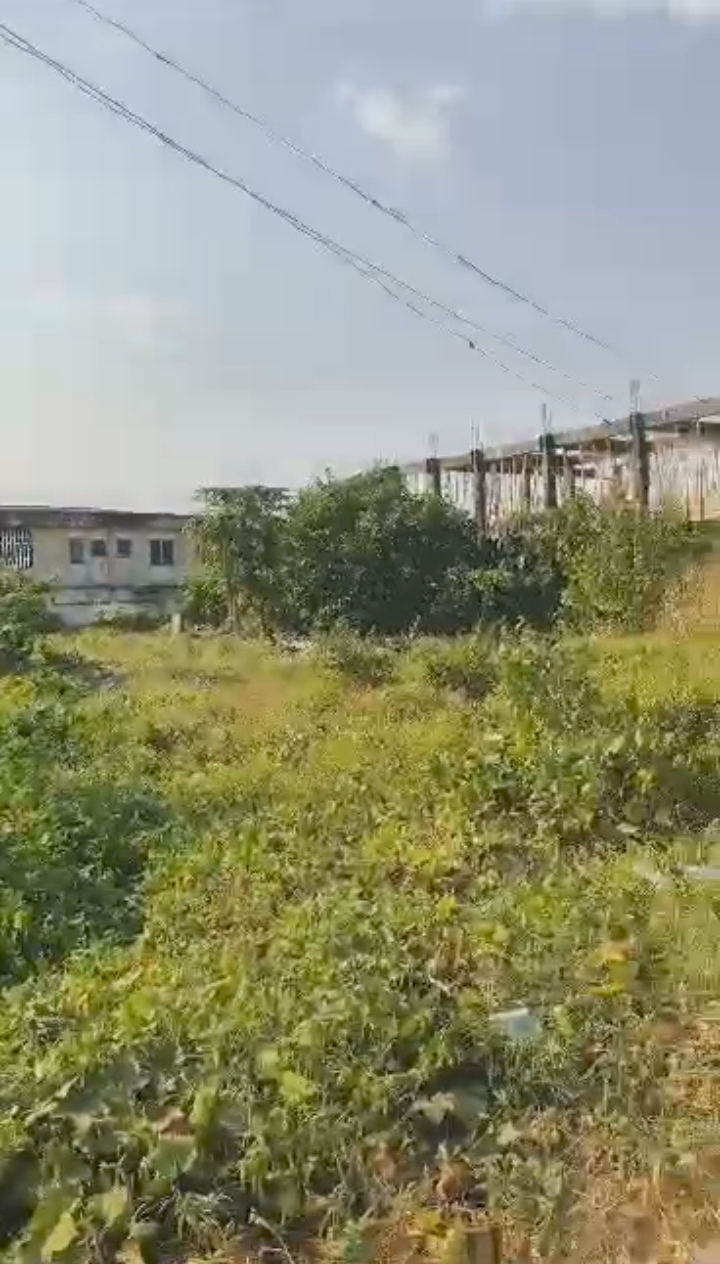 Land in 2nd east circular road Edo cover picture