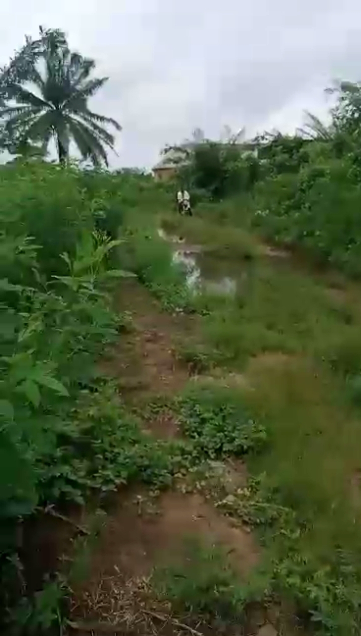 Land in BIU Road along sapele road Edo cover picture