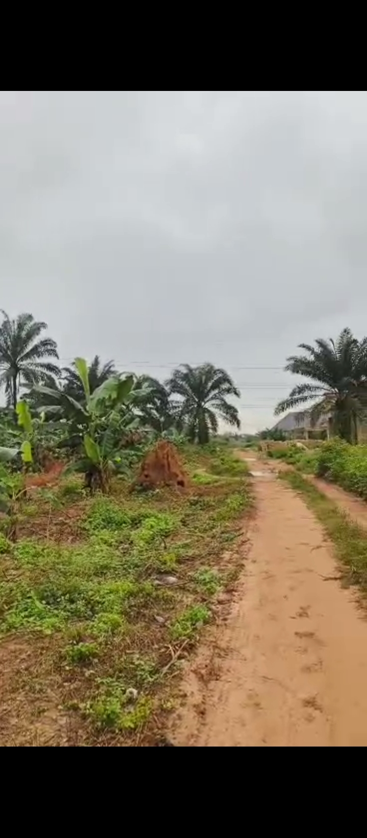 Land for Sale in Ologbo, Edo cover picture
