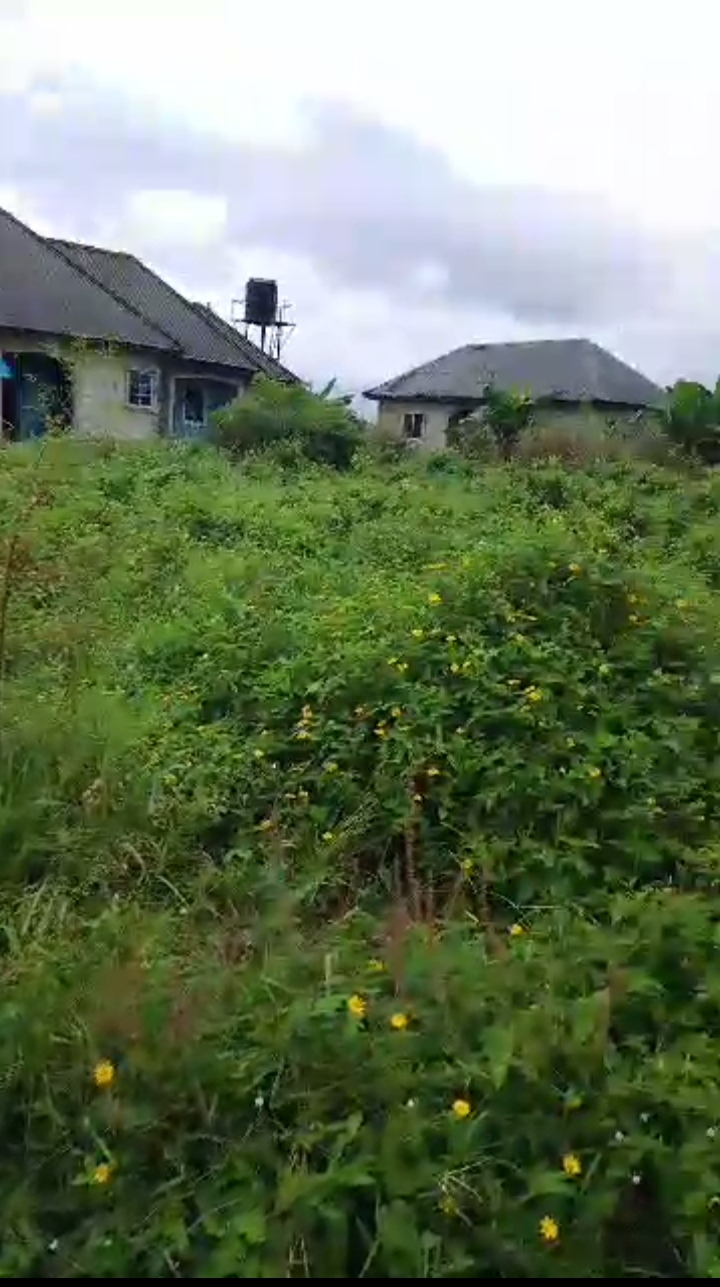 Land for Sale in Adesa Warri, Delta cover picture