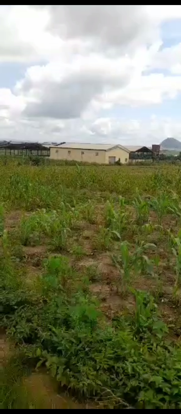 Land for Sale in Umar musa yahadua expressway, FCT cover picture
