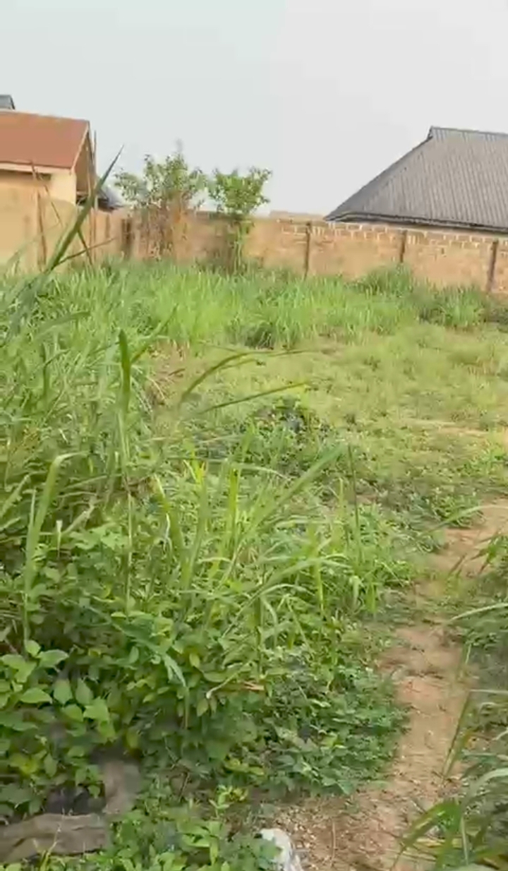 Land in Ekehuaw road for Sale cover picture