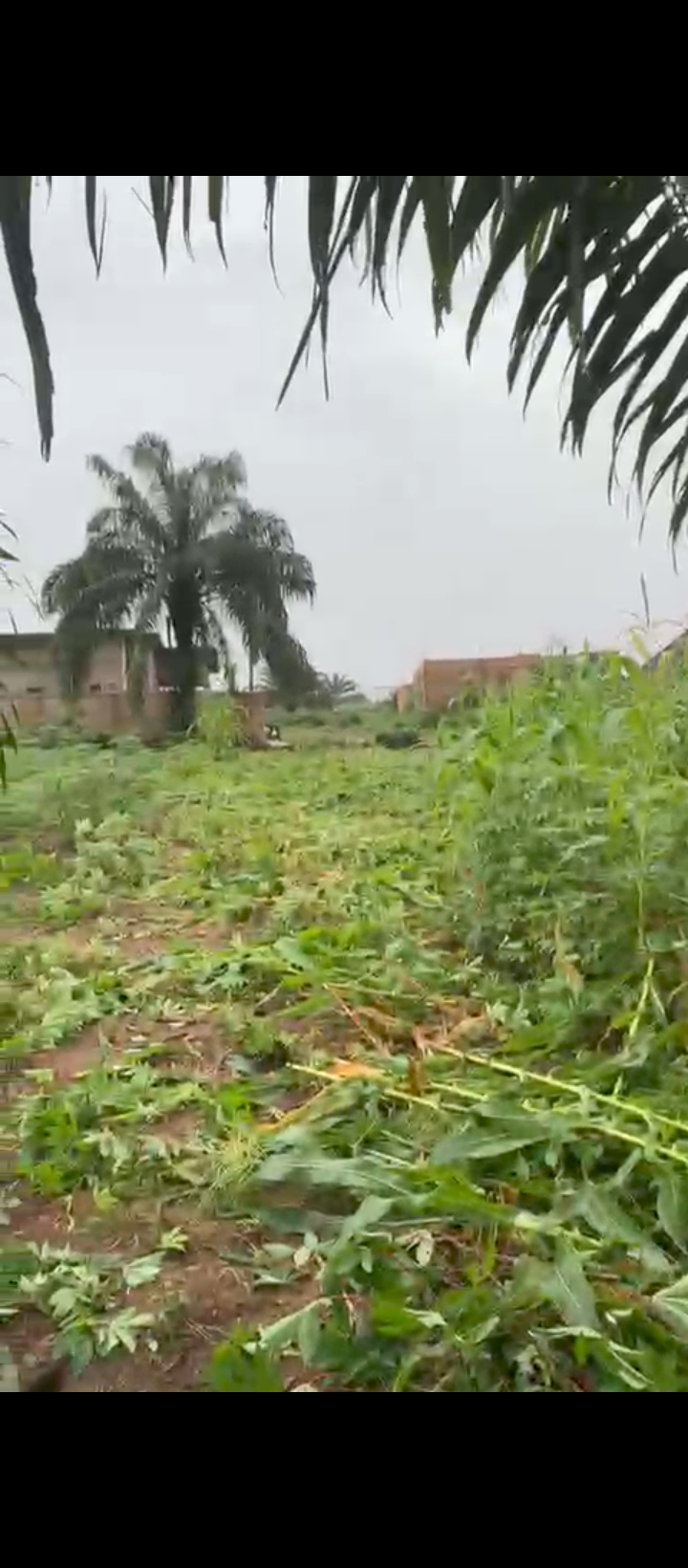 Land for Sale in Obagie road, Edo cover picture