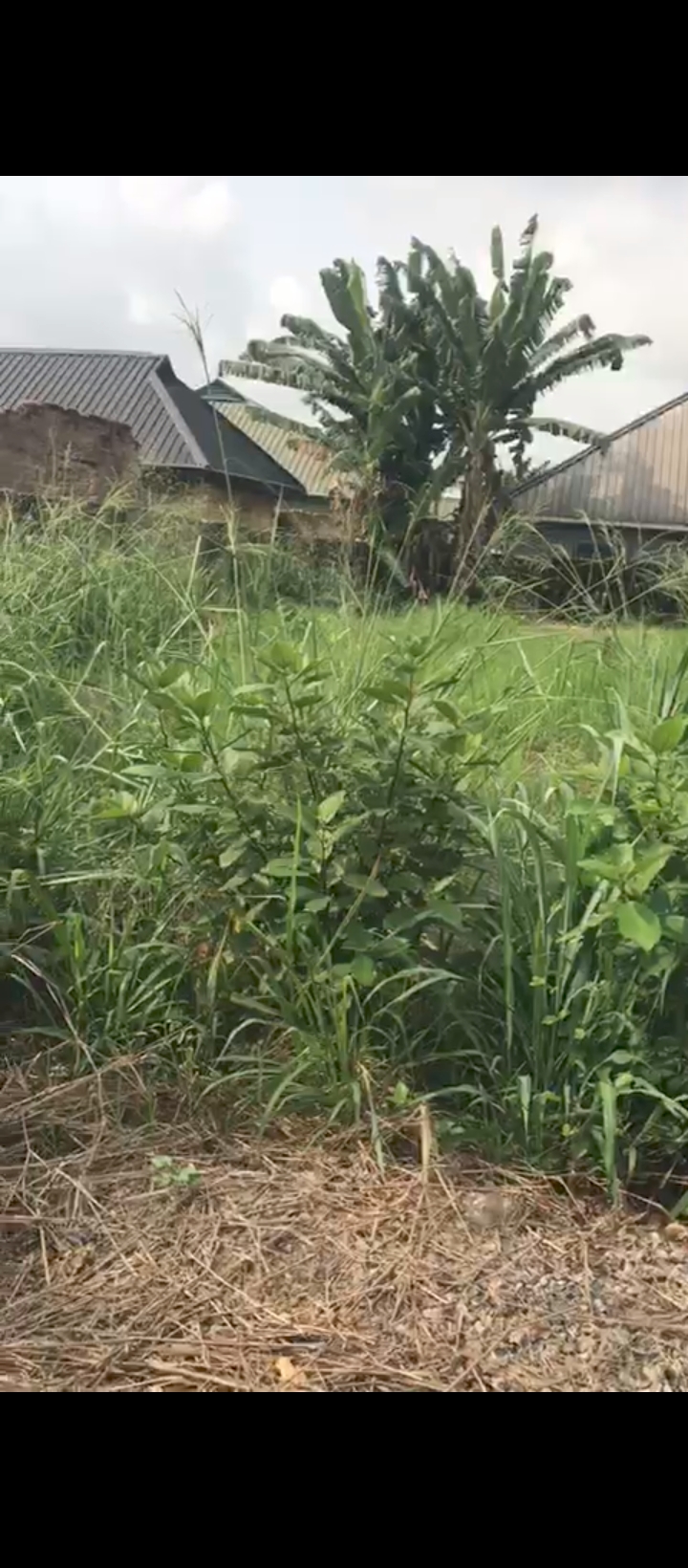 Land in Biu Abuja quarter Edo cover picture