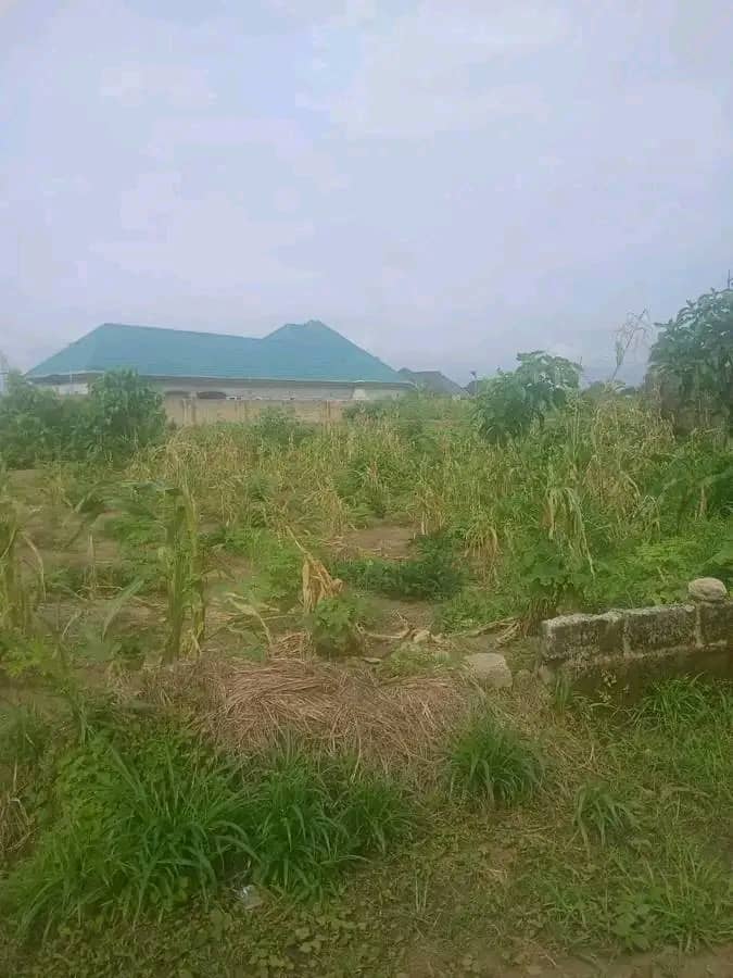 Land in Behind trinity Polytechnic Akwa Ibom cover picture