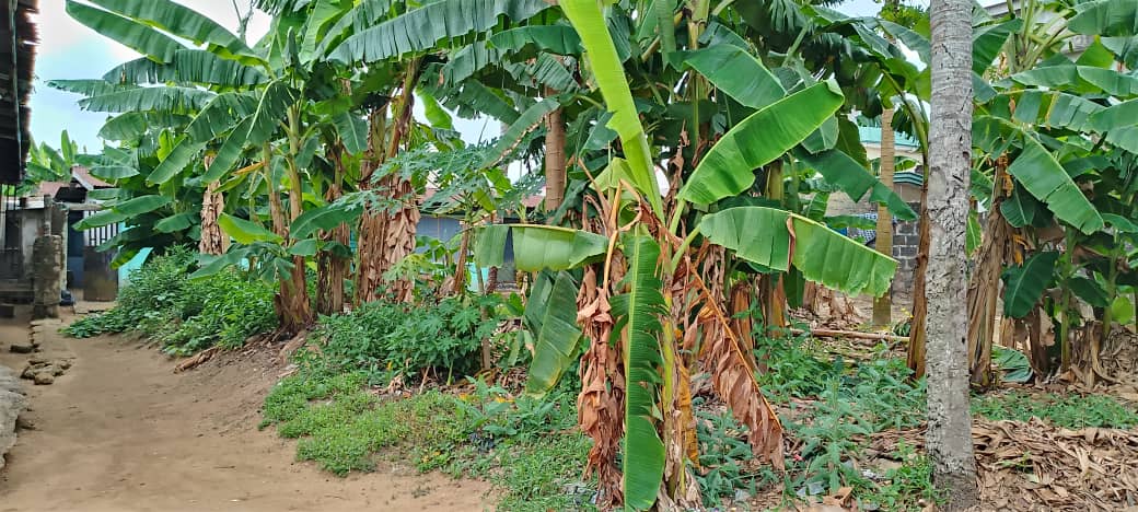 Land in Itiam street off NEPA line Akwa Ibom cover picture