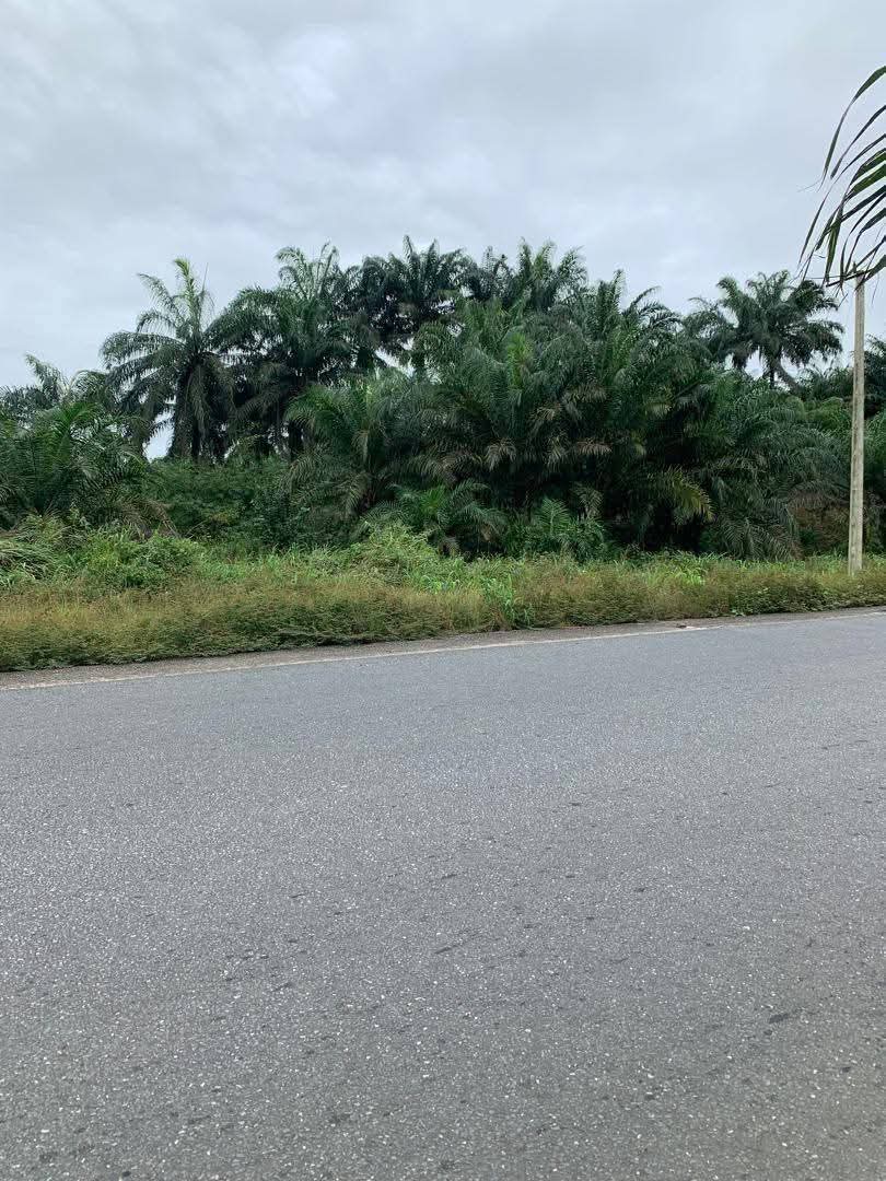 Land for Sale in Ikot Okoro road, Akwa Ibom cover picture