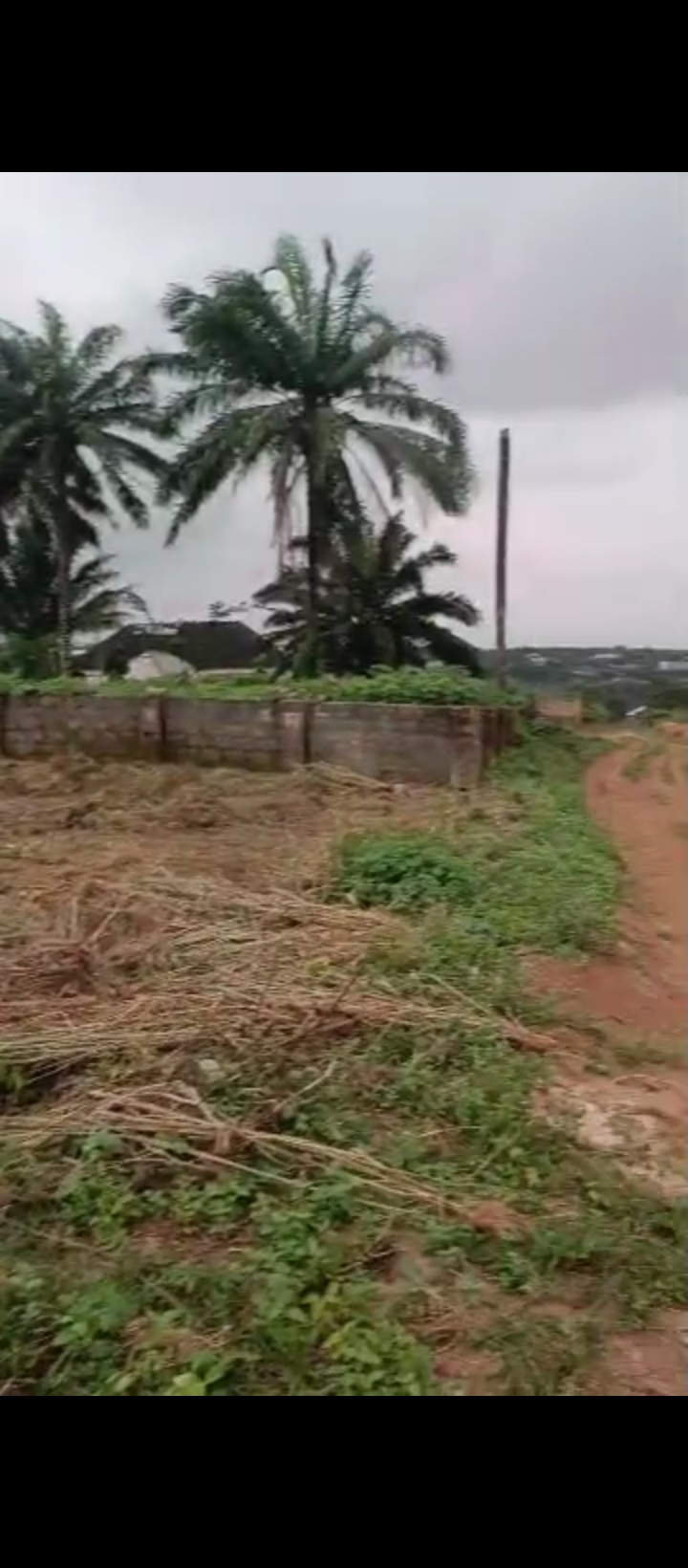 Land for Sale in Off airport road, Edo cover picture