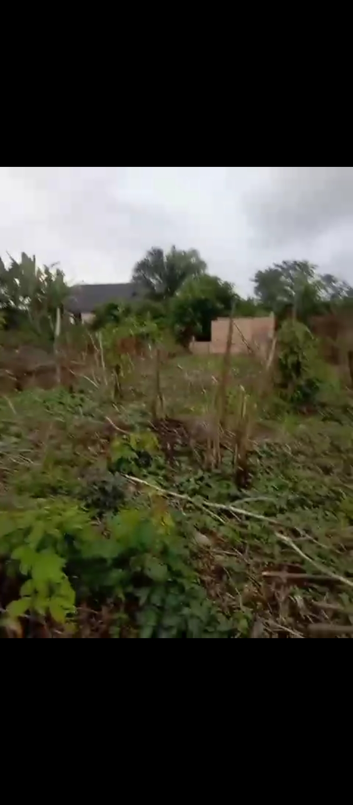 Land for Sale in Obayantor sapele road, Edo cover picture