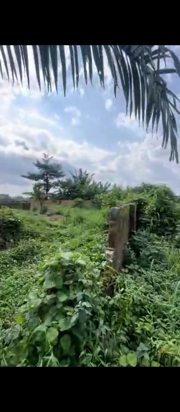 Land for Sale in Amagba, Edo cover picture