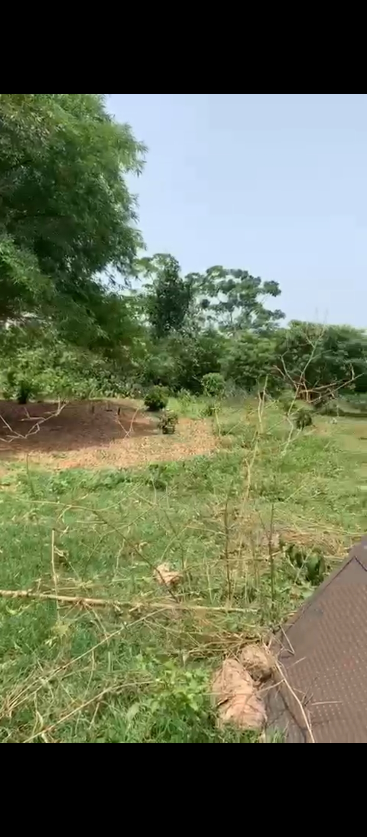 Land for Sale in Benin city, Edo cover picture