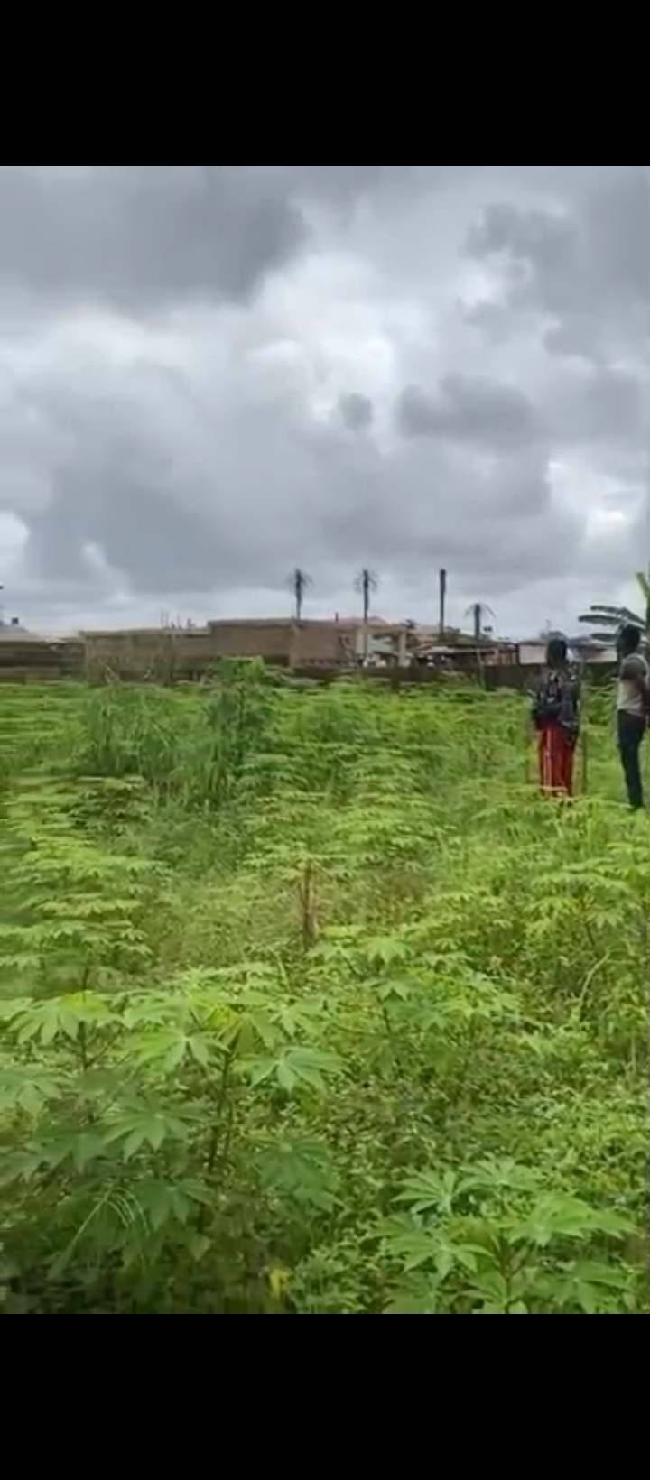 Land for Sale in Sapele road Rcc, Edo cover picture