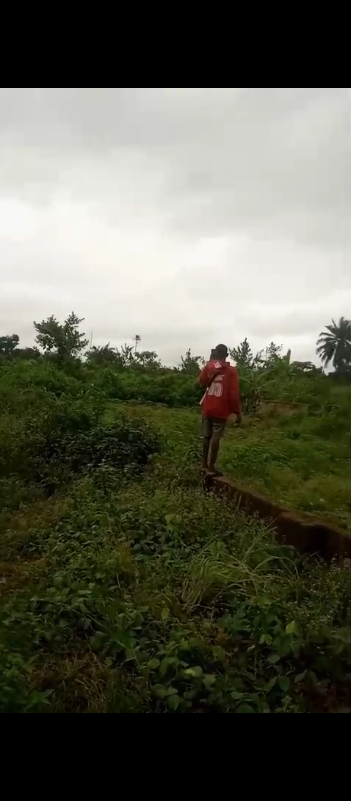 Land for Sale in Obagie sapele road, Edo cover picture