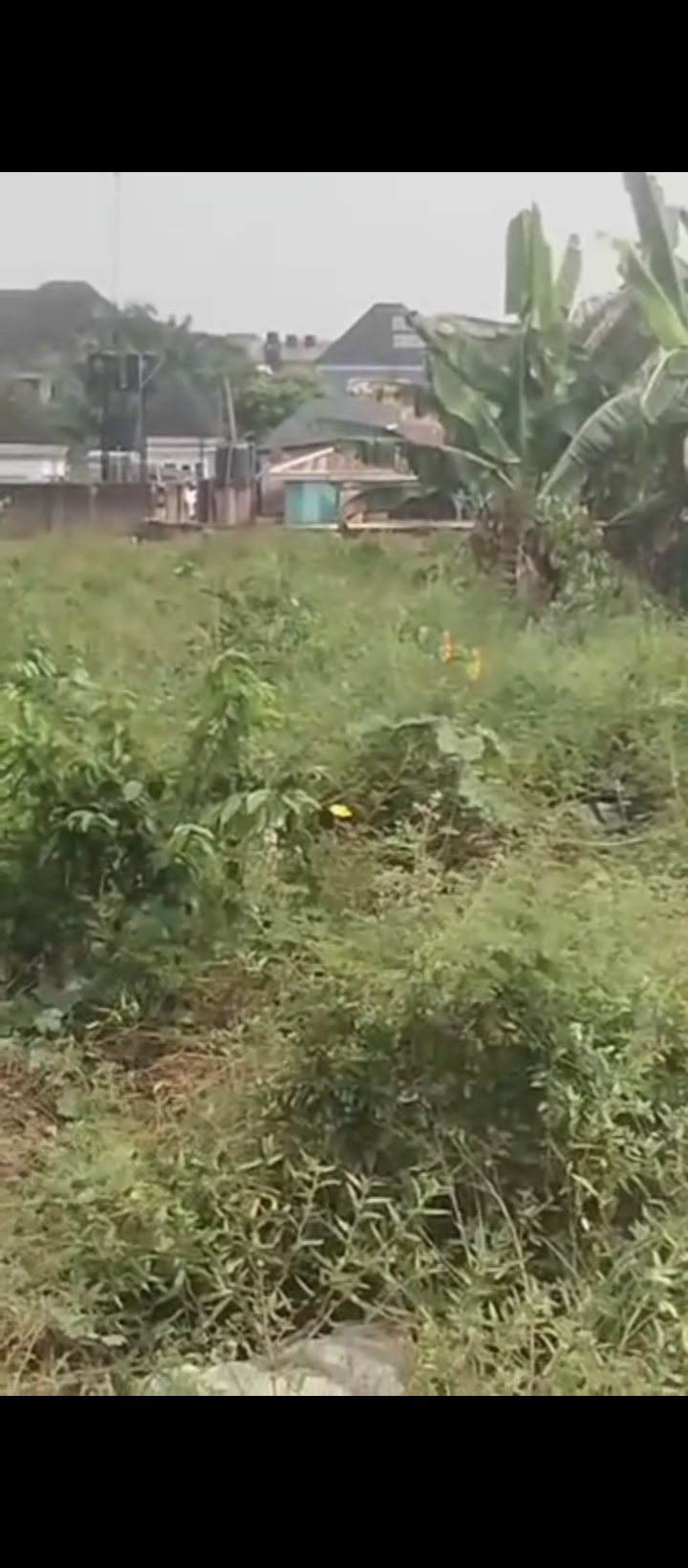 Land for Sale in Country home, Edo cover picture