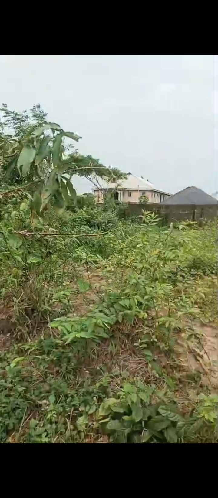 Land for Sale in Ugbor, Edo cover picture