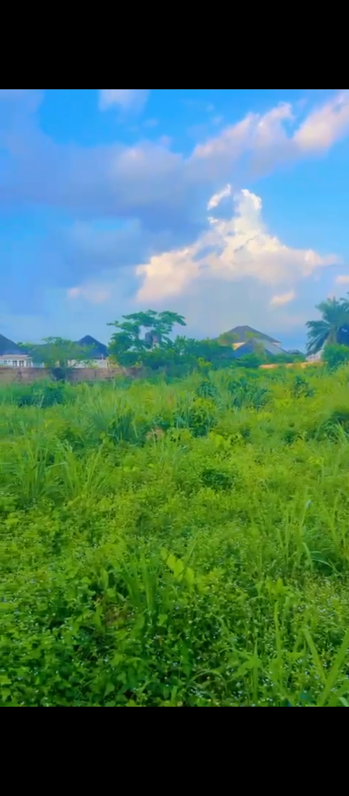 Land for Sale in Country home, Edo cover picture