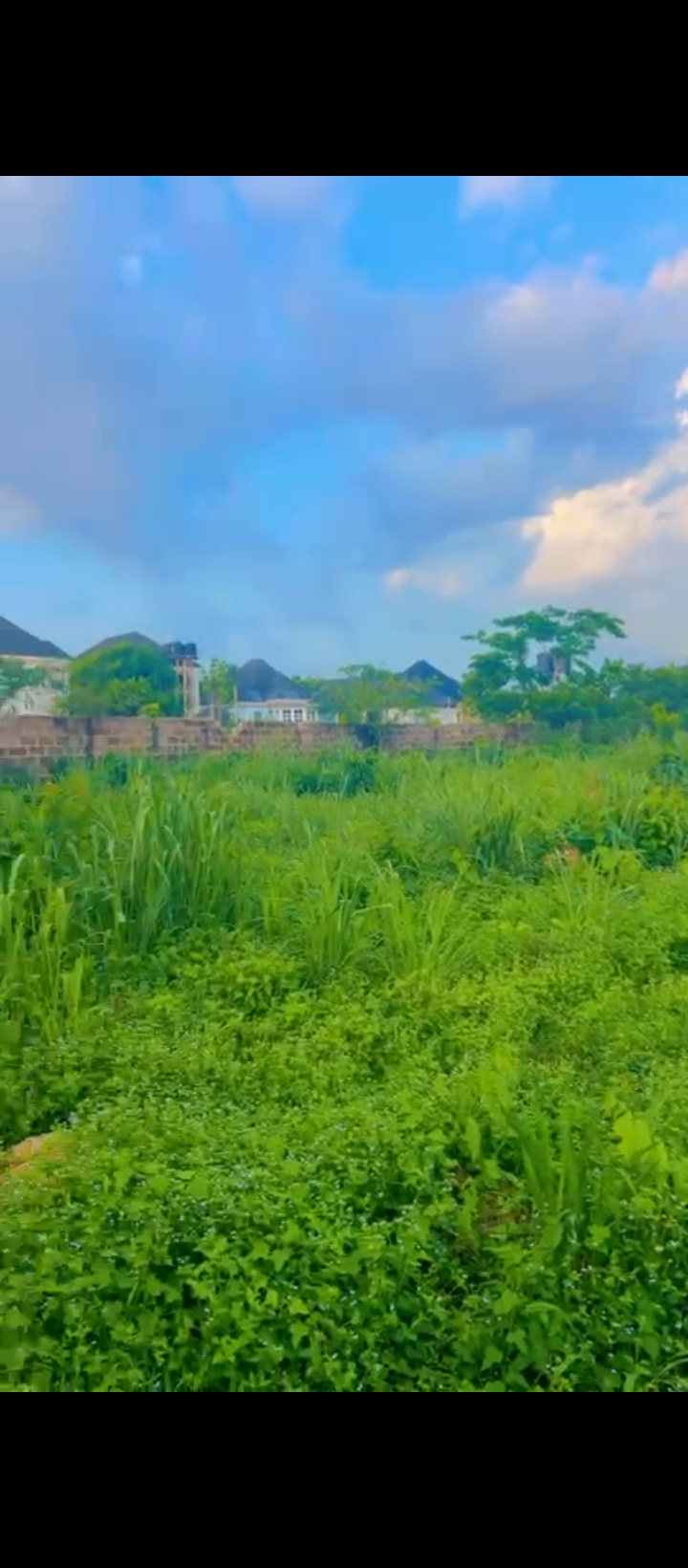 Land for Sale in Country home, Edo cover picture