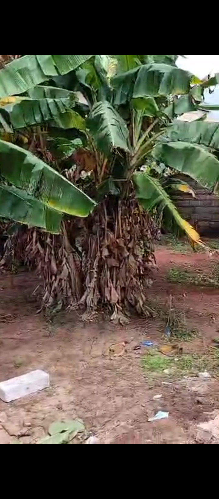 Land for Sale in Irhirhri, Edo cover picture