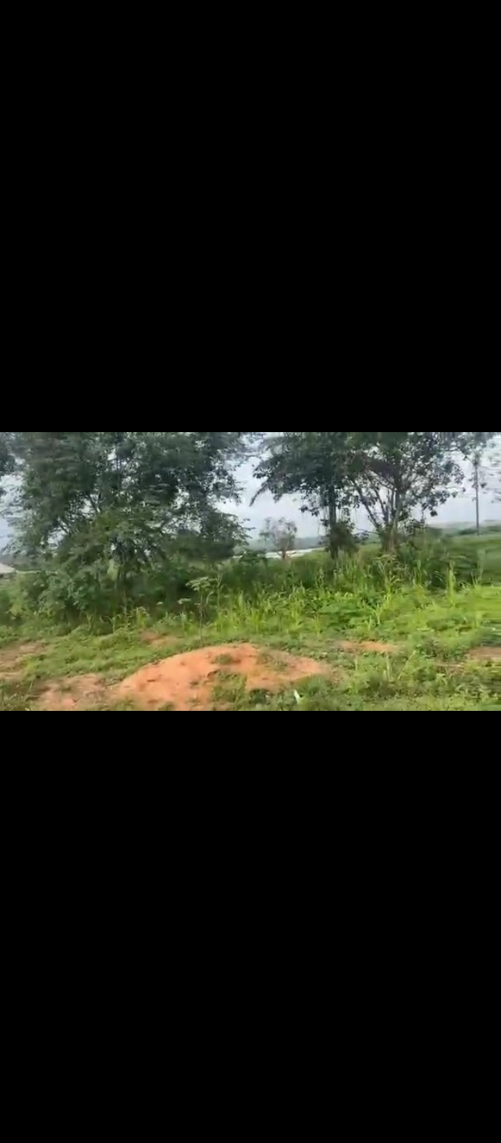 Land for Sale in Nifor, Edo cover picture