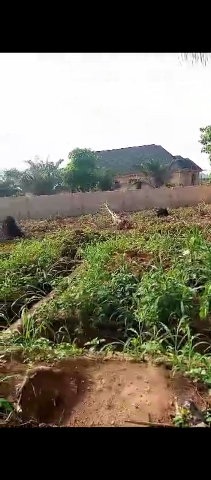 Land for Sale in Ogheoghe sapele road, Edo cover picture