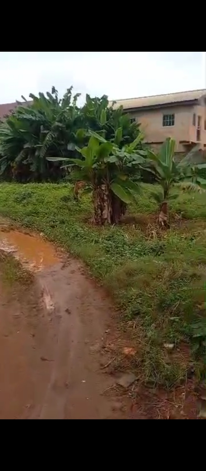 Land for Sale in Ekehuan road, Edo cover picture