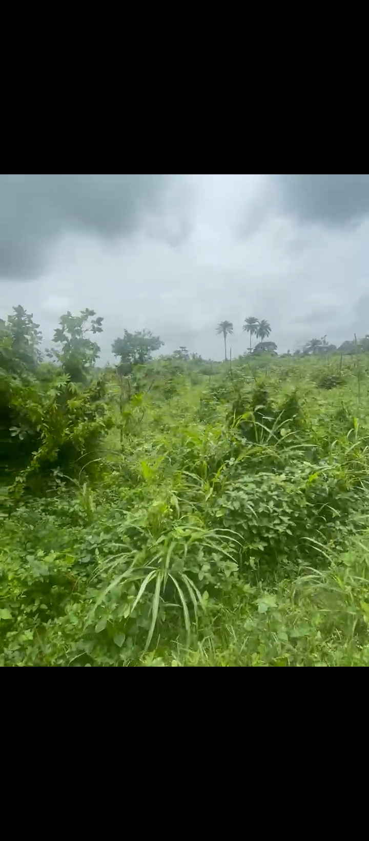 Land for Sale in Auchi bypass, Edo cover picture