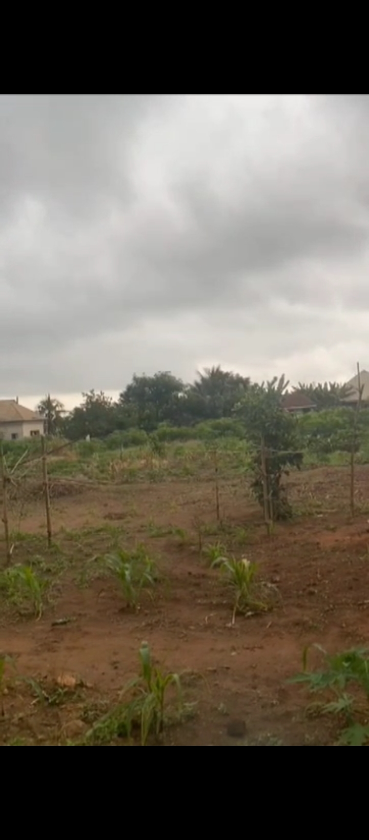 Land for Sale in Ebo airport road, Edo cover picture